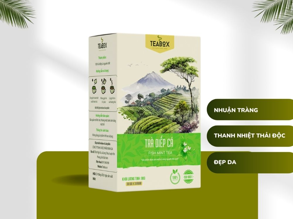 Trà Diếp Cá Thanh Nhiệt Giải Độc Tăng Cường Miễn Dịch